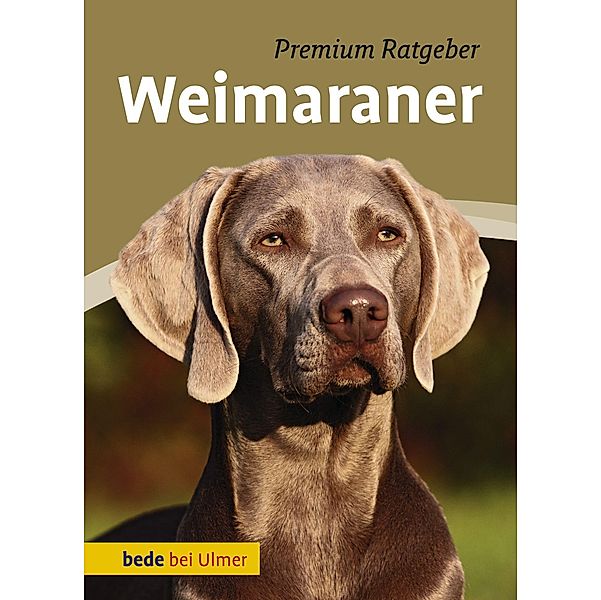 Weimaraner, Annette Schmitt