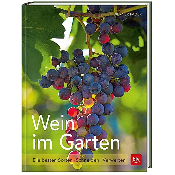 Wein im Garten, Werner Fader