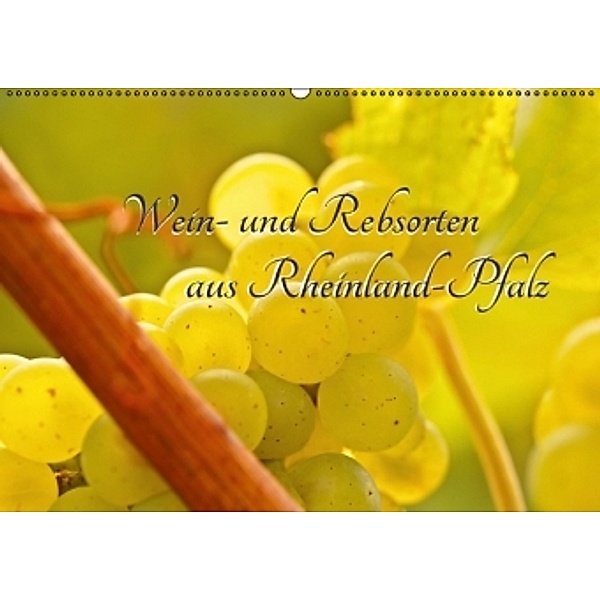 Wein- und Rebsorten aus Rheinland-Pfalz (Wandkalender 2016 DIN A2 quer), Andreas Eberlein, Markus Kärcher