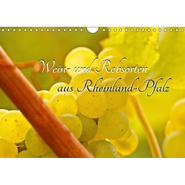 Wein- und Rebsorten aus Rheinland-Pfalz (Wandkalender 2017 DIN A4 quer), Andreas Eberlein