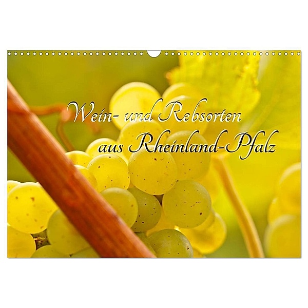 Wein- und Rebsorten aus Rheinland-Pfalz (Wandkalender 2024 DIN A3 quer), CALVENDO Monatskalender, Markus Kärcher, Andreas Eberlein