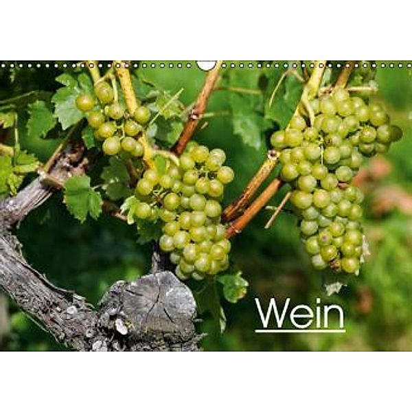 Wein (Wandkalender 2015 DIN A3 quer), Anette Jäger