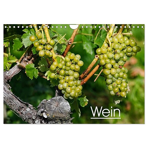 Wein (Wandkalender 2025 DIN A4 quer), CALVENDO Monatskalender, Calvendo, Anette/Thomas Jäger