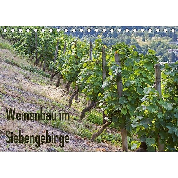 Weinanbau im Siebengebirge (Tischkalender 2017 DIN A5 quer), Thomas Leonhardy
