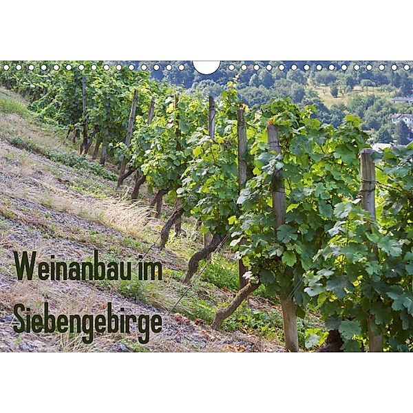 Weinanbau im Siebengebirge (Wandkalender 2020 DIN A4 quer), Thomas Leonhardy