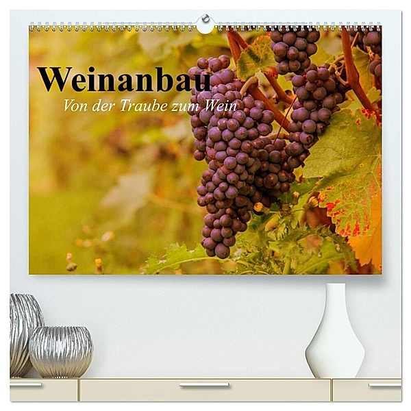 Weinanbau. Von der Traube zum Wein (hochwertiger Premium Wandkalender 2024 DIN A2 quer), Kunstdruck in Hochglanz, Elisabeth Stanzer