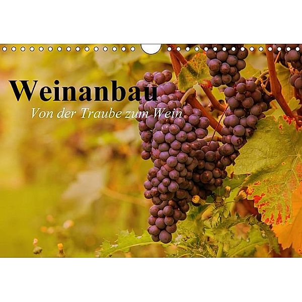 Weinanbau. Von der Traube zum Wein (Wandkalender 2017 DIN A4 quer), Elisabeth Stanzer