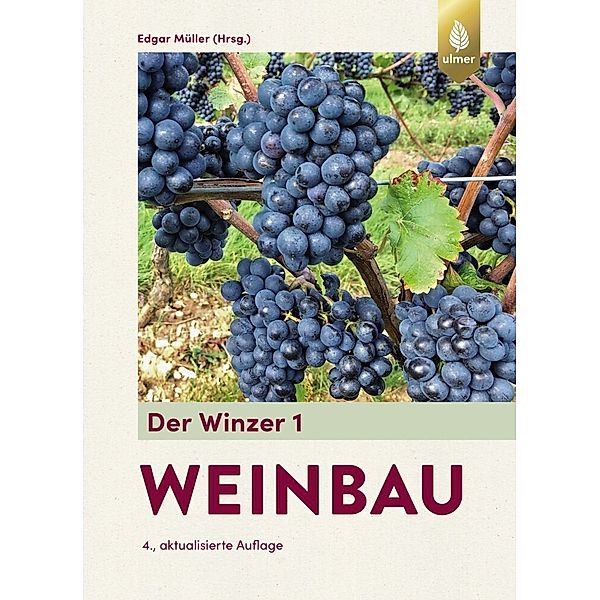 Weinbau, Edgar Müller, Hans-Peter Lipps, Oswald Walg