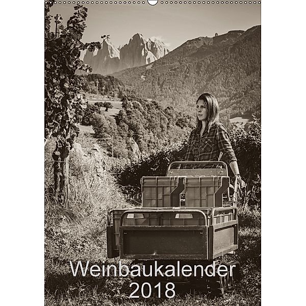 Weinbaukalender 2018 (Wandkalender 2018 DIN A2 hoch), Werner Zippl