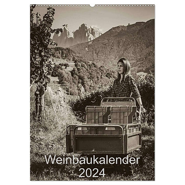 Weinbaukalender 2024 (Wandkalender 2024 DIN A2 hoch), CALVENDO Monatskalender, Werner Zippl