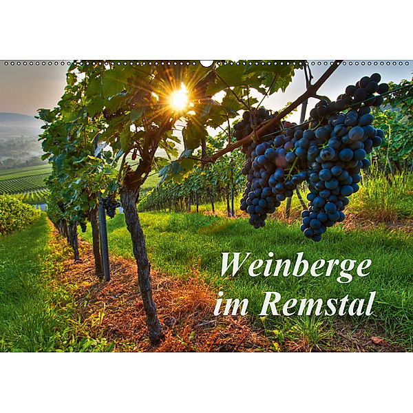 Weinberge im Remstal (Wandkalender 2019 DIN A2 quer), Bernd Schmidt