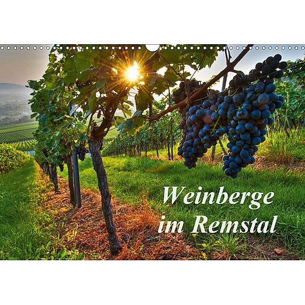 Weinberge im Remstal (Wandkalender 2021 DIN A3 quer), Bernd Schmidt