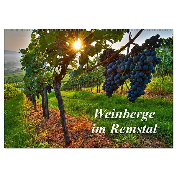 Weinberge im Remstal (Wandkalender 2024 DIN A2 quer), CALVENDO Monatskalender, Bernd Schmidt