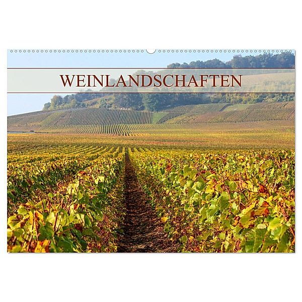 Weinlandschaften (Wandkalender 2024 DIN A2 quer), CALVENDO Monatskalender, Elisabeth Schittenhelm