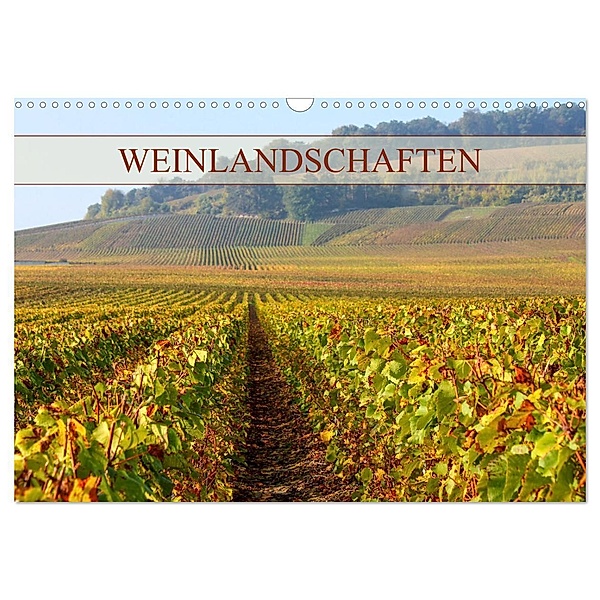 Weinlandschaften (Wandkalender 2024 DIN A3 quer), CALVENDO Monatskalender, Elisabeth Schittenhelm