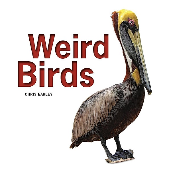 Weird Birds, Chris Earley