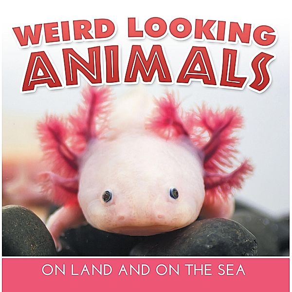 Weird Looking Animals On Land and On The Sea / Baby Professor, Baby