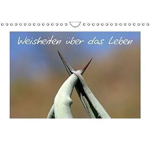 Weisheiten über das Leben / AT-Version (Wandkalender 2015 DIN A4 quer), Ralf Kaiser