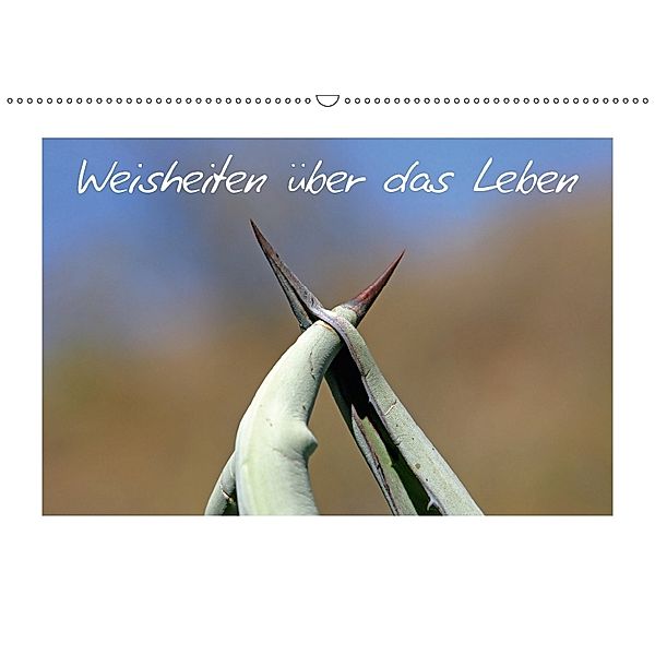 Weisheiten über das Leben / CH-Version (Wandkalender 2018 DIN A2 quer) Dieser erfolgreiche Kalender wurde dieses Jahr mi, Ralf Kaiser