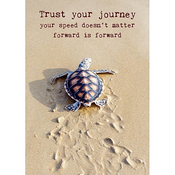 Weisheits-Postkarte 24: Trust your journey, 10 Postkarten, Zintenz