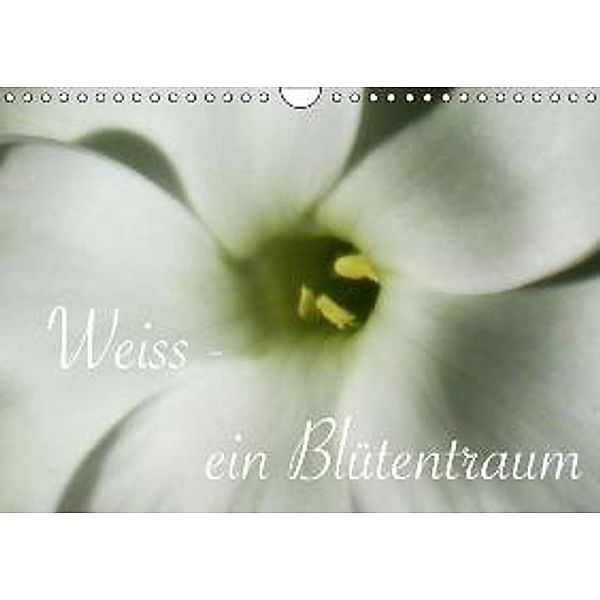 Weiss - ein Blütentraum / CH-Version (Wandkalender 2015 DIN A4 quer), JUSTART