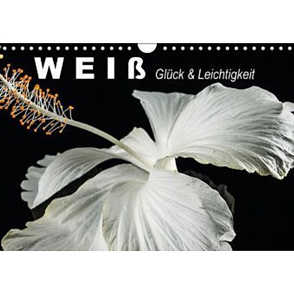 Weiß - Glück & Leichtigkeit (Wandkalender 2016 DIN A4 quer), Elisabeth Stanzer