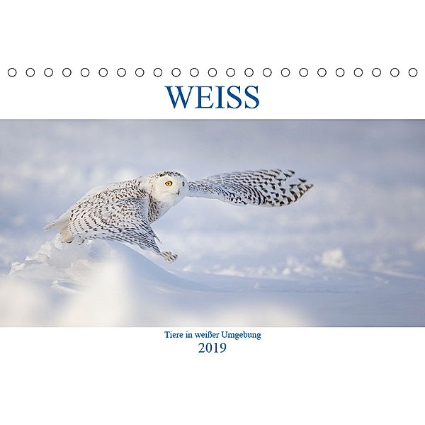 WEISS (Tischkalender 2019 DIN A5 quer), Marion Vollborn