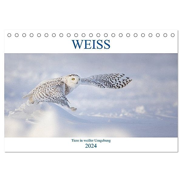 WEISS (Tischkalender 2024 DIN A5 quer), CALVENDO Monatskalender, Marion Vollborn