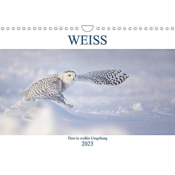WEISS (Wandkalender 2023 DIN A4 quer), Marion Vollborn