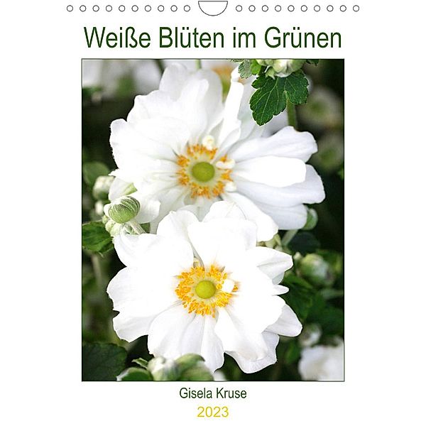 Weiße Blüten im Grünen (Wandkalender 2023 DIN A4 hoch), Gisela Kruse