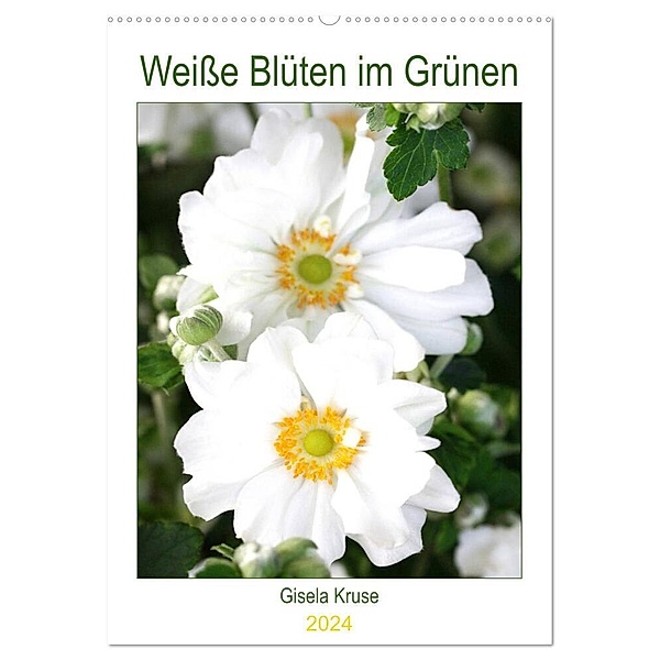 Weisse Blüten im Grünen (Wandkalender 2024 DIN A2 hoch), CALVENDO Monatskalender, Gisela Kruse