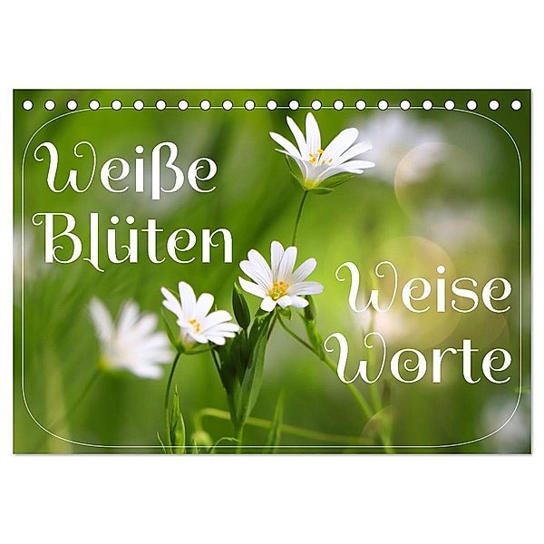 Weiße Blüten, weise Worte (Tischkalender 2025 DIN A5 quer), CALVENDO Monatskalender, Calvendo, Sabine Löwer