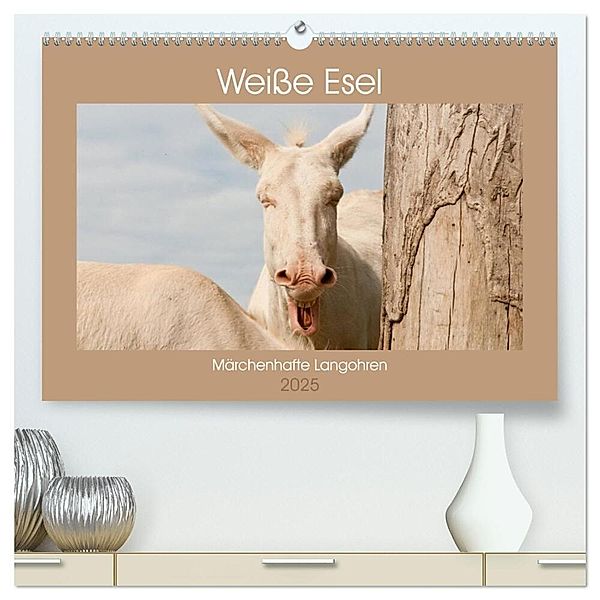 Weiße Esel - Märchenhafte Langohren (hochwertiger Premium Wandkalender 2025 DIN A2 quer), Kunstdruck in Hochglanz, Calvendo, Meike Bölts