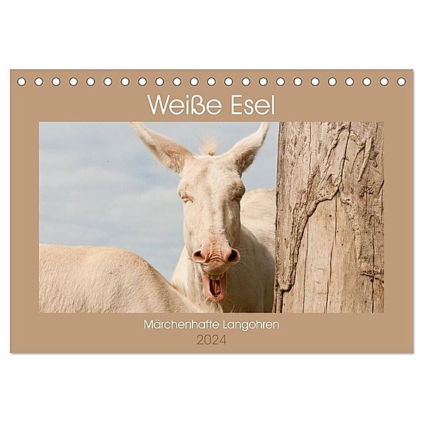 Weisse Esel - Märchenhafte Langohren (Tischkalender 2024 DIN A5 quer), CALVENDO Monatskalender, Meike Bölts