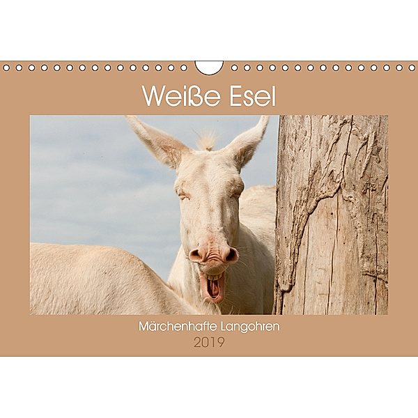Weiße Esel - Märchenhafte Langohren (Wandkalender 2019 DIN A4 quer), Meike Bölts