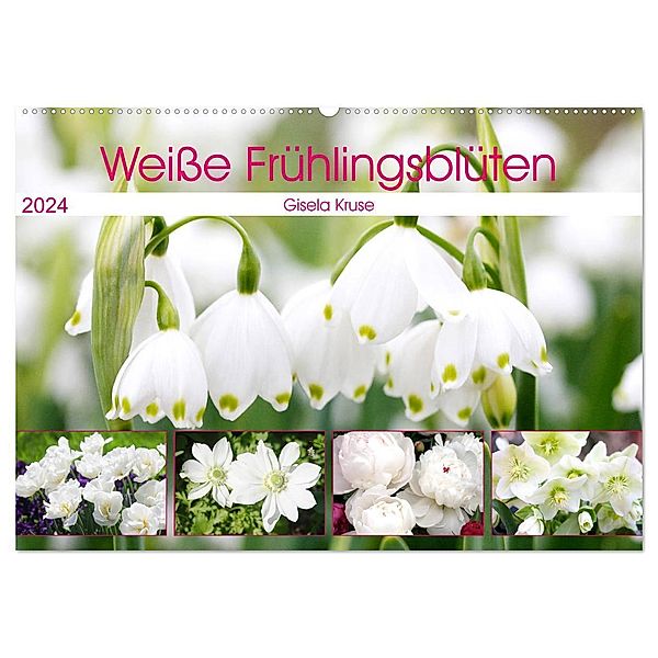 Weiße Frühlingsblüten (Wandkalender 2024 DIN A2 quer), CALVENDO Monatskalender, Gisela Kruse