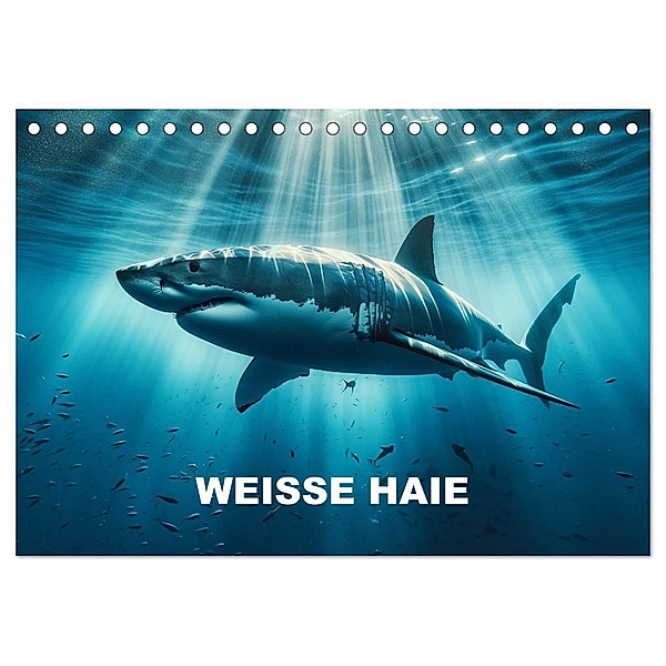 Weisse Haie (Tischkalender 2024 DIN A5 quer), CALVENDO Monatskalender, Calvendo, Peter R. Stuhlmann