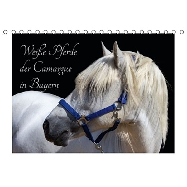 Weiße Pferde der Camargue in Bayern (Tischkalender 2016 DIN A5 quer), Brigitte Jaritz