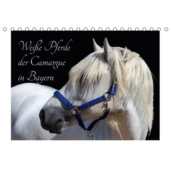 Weiße Pferde der Camargue in Bayern (Tischkalender 2017 DIN A5 quer), Brigitte Jaritz