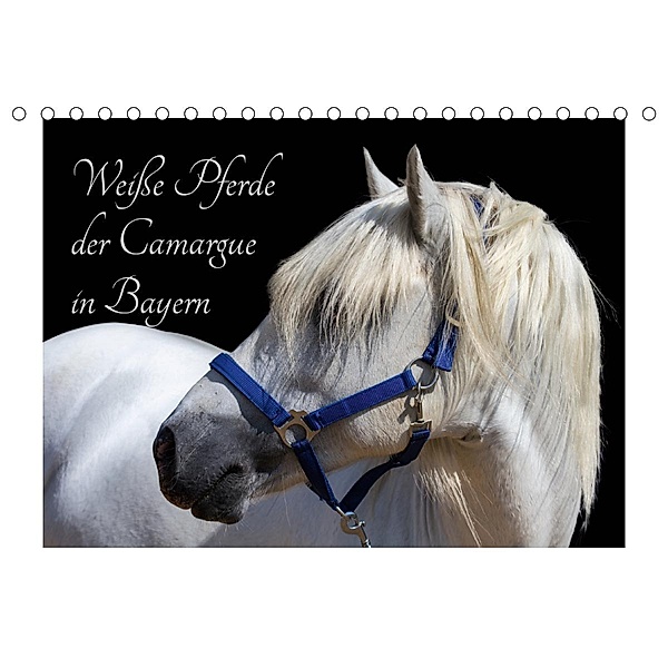 Weiße Pferde der Camargue in Bayern (Tischkalender 2020 DIN A5 quer), Brigitte Jaritz
