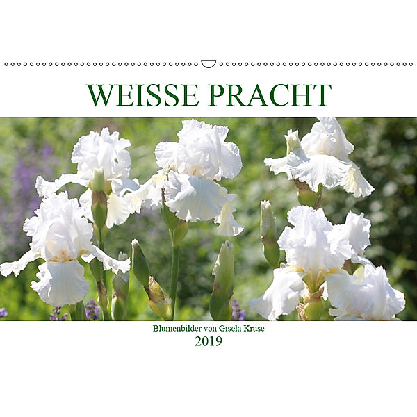 Weiße Pracht (Wandkalender 2019 DIN A2 quer), Gisela Kruse