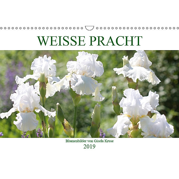 Weiße Pracht (Wandkalender 2019 DIN A3 quer), Gisela Kruse