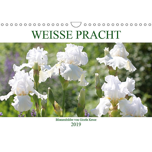 Weiße Pracht (Wandkalender 2019 DIN A4 quer), Gisela Kruse