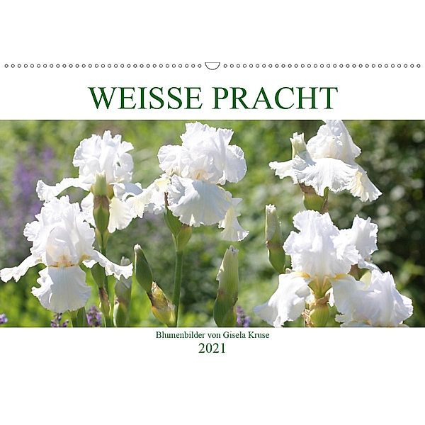 Weiße Pracht (Wandkalender 2021 DIN A2 quer), Gisela Kruse