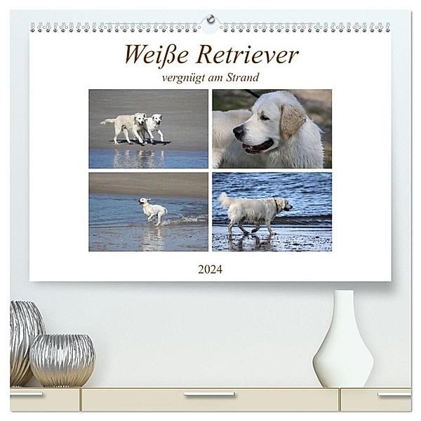 Weisse Retriever vergnügt am Strand (hochwertiger Premium Wandkalender 2024 DIN A2 quer), Kunstdruck in Hochglanz, Schnellewelten