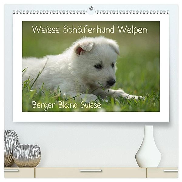 Weisse Schäferhund Welpen - Berger Blanc Suisse (hochwertiger Premium Wandkalender 2024 DIN A2 quer), Kunstdruck in Hochglanz, Tanja Riedel