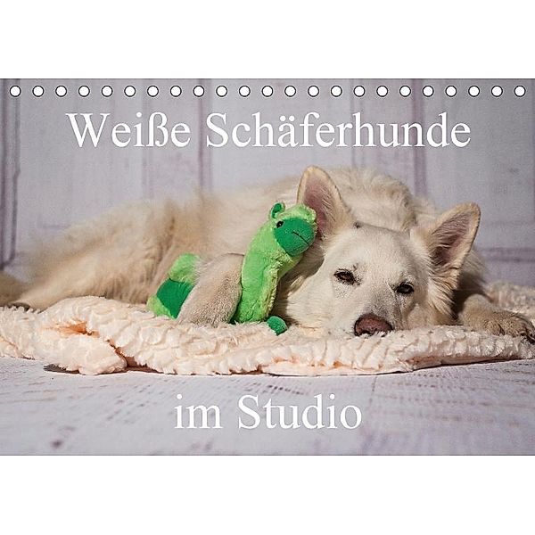 Weiße Schäferhunde im Studio (Tischkalender 2018 DIN A5 quer), Uschi Lang