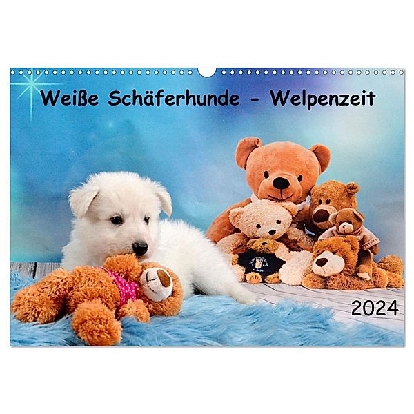 Weisse Schäferhunde - Welpenzeit (Wandkalender 2024 DIN A3 quer), CALVENDO Monatskalender, Diana Hachmeyer