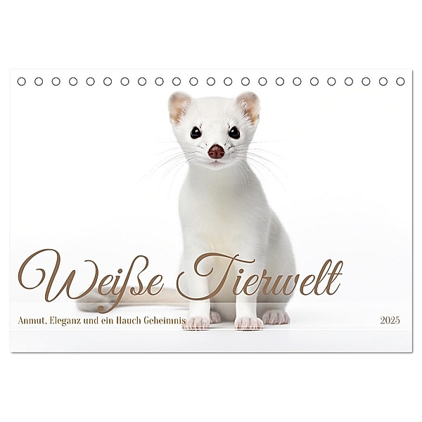 Weisse Tierwelt (Tischkalender 2025 DIN A5 quer), CALVENDO Monatskalender, Calvendo, Daniela Tapper