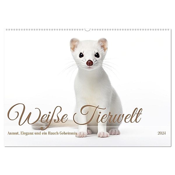 Weisse Tierwelt (Wandkalender 2024 DIN A2 quer), CALVENDO Monatskalender, Daniela Tapper